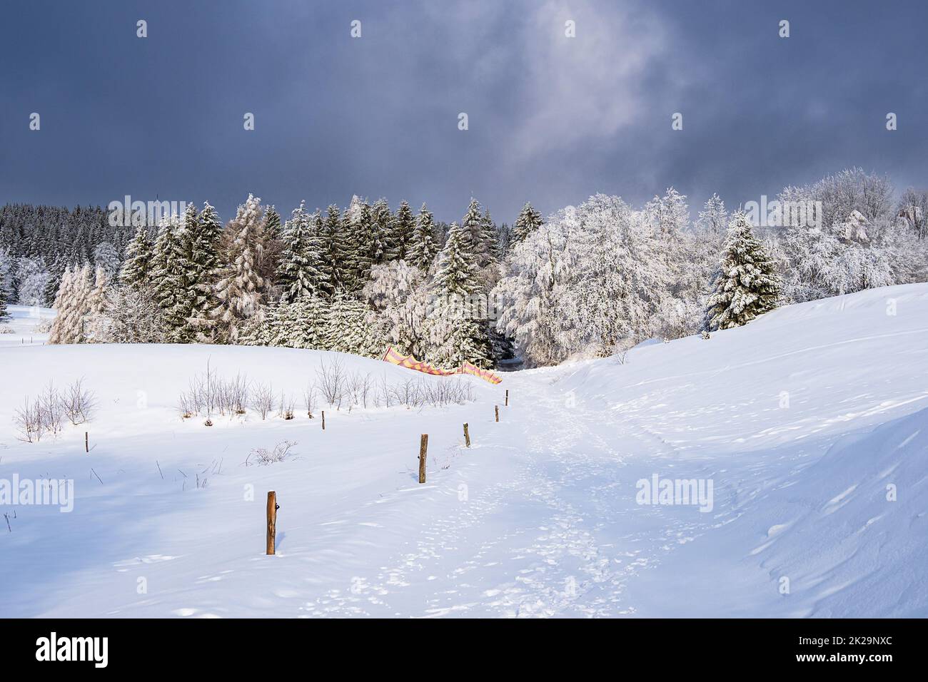 Landscape in winter time in the Thuringian Forest near Schmiedefeld am Rennsteig, Germany Stock Photo