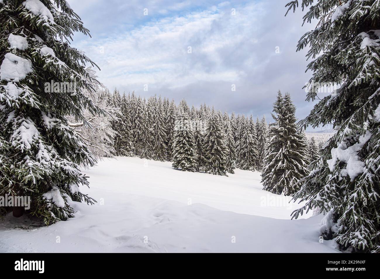 Landscape in winter time in the Thuringian Forest near Schmiedefeld am Rennsteig, Germany Stock Photo