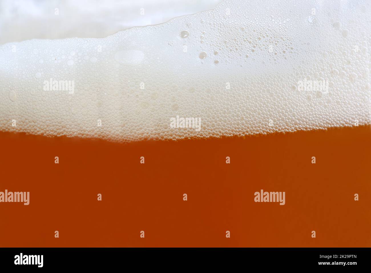 German Beer Stock Photo