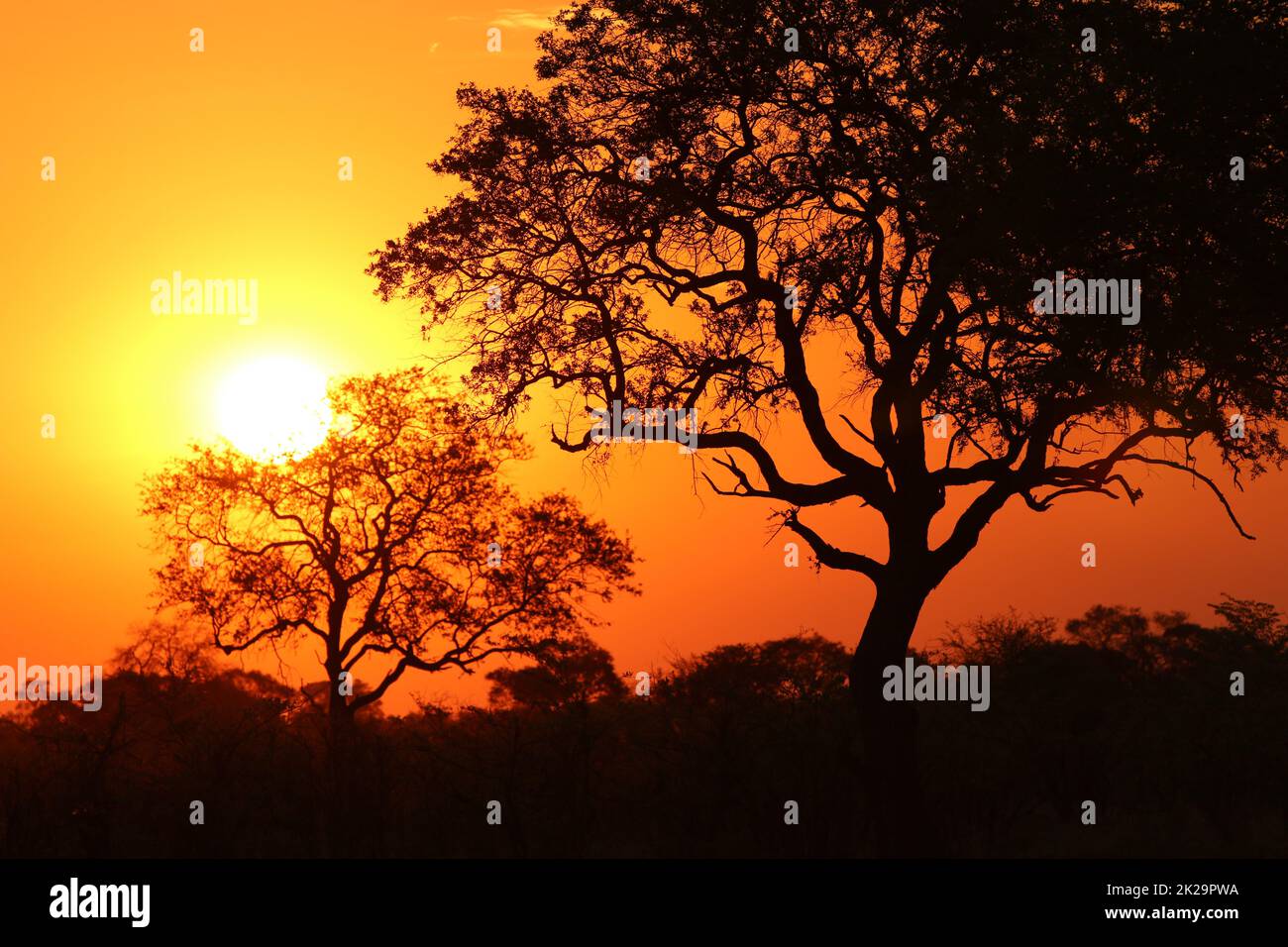 Sunset in Namibia Stock Photo - Alamy