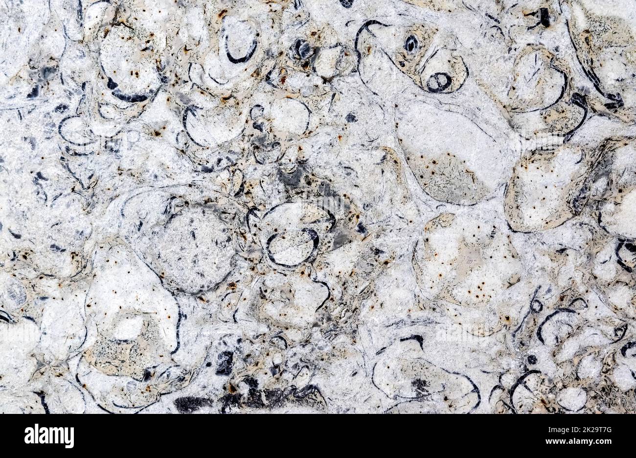 Close up view at the surface marble stone Stock Photo