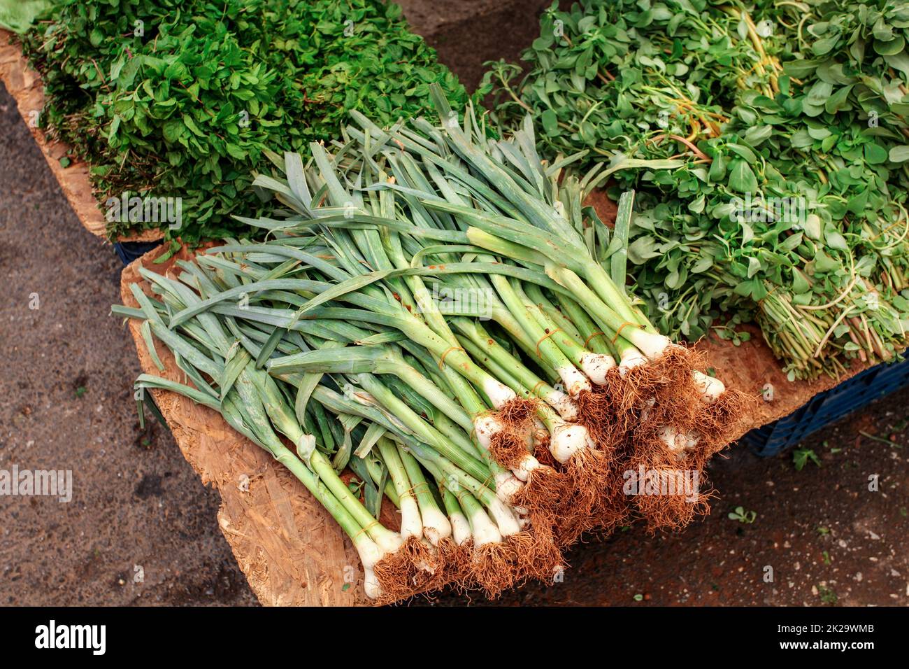 Bunch of spring onions, valerianella (corn salad) and mint leaves displayed on food market. Kyrenia, Cyprus. Stock Photo