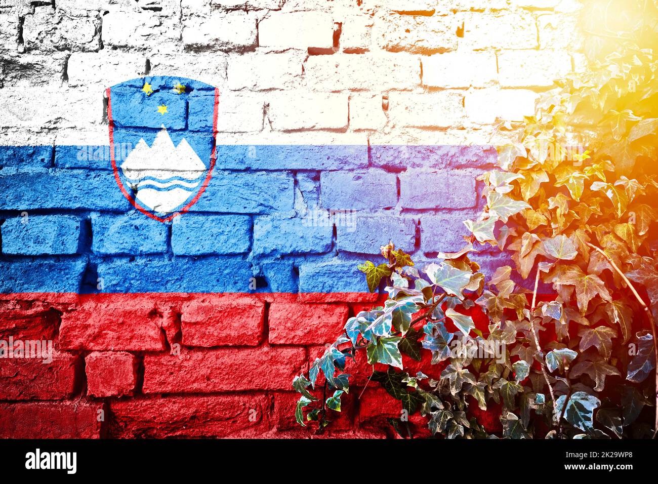 Slovenia grunge flag on brick wall with ivy plant sun haze view Stock ...