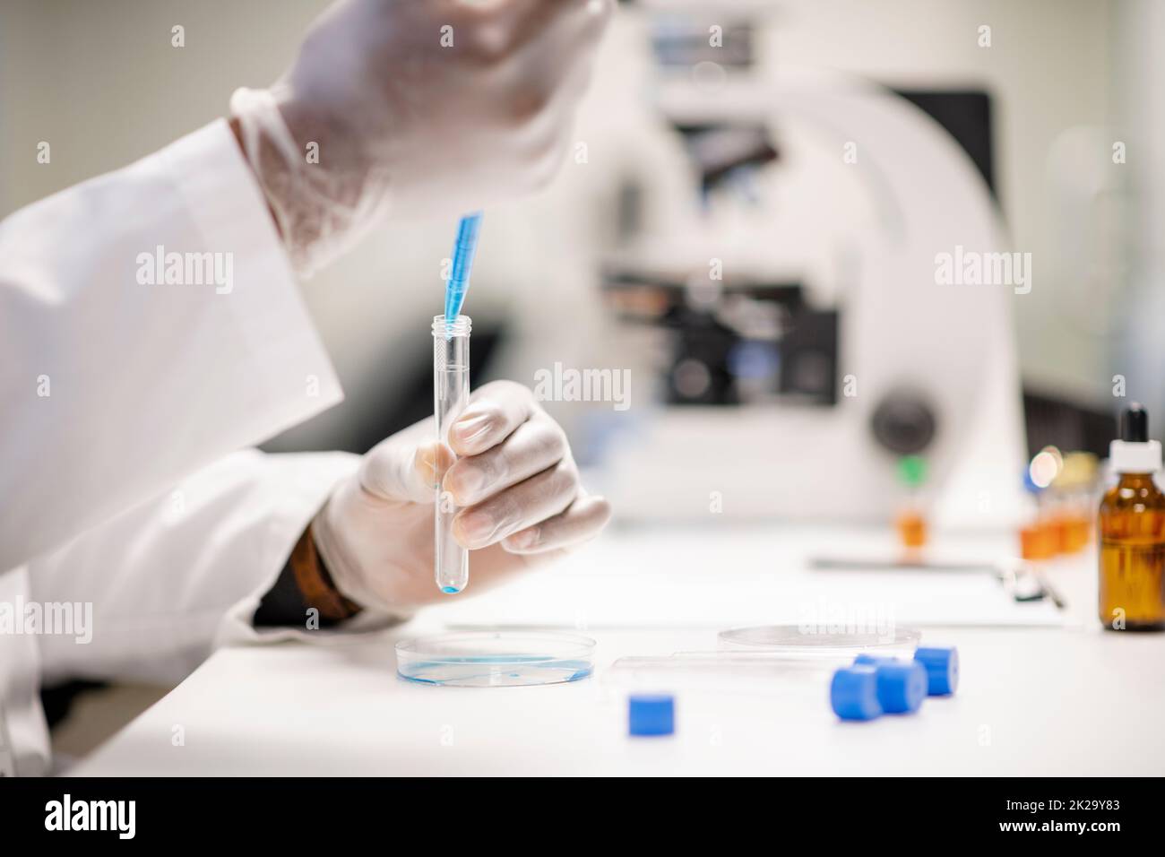 Medical researcher pipetting laboratory samples into test tube Stock