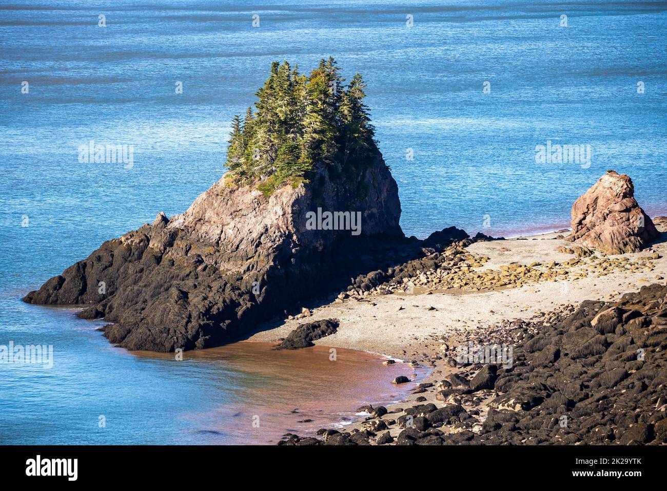Fundy national park coastline scenic landscape cliffs sea tide out Stock Photo