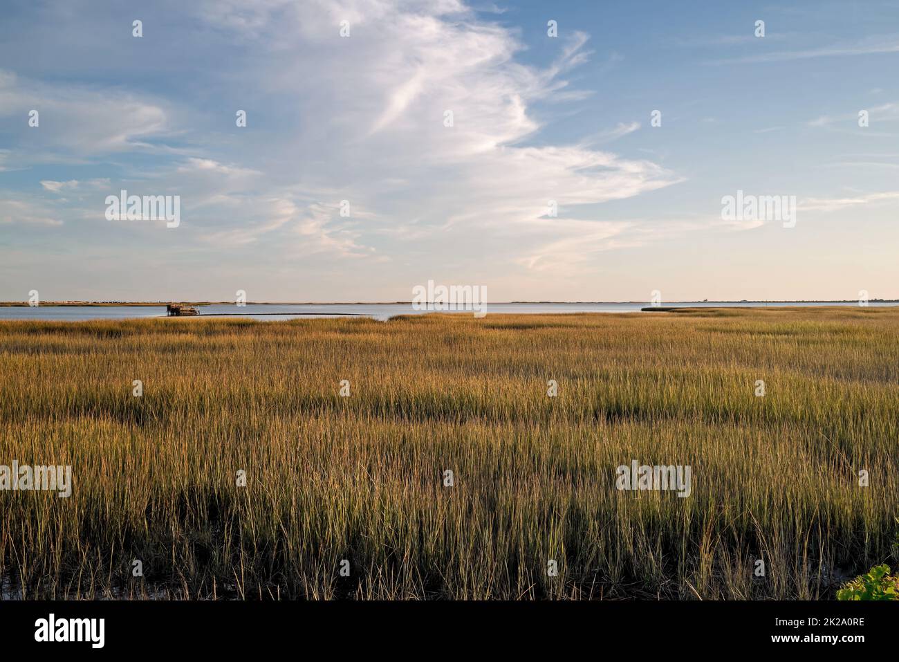 Late afternoon landscape of marshland in Chincoteague National Wildlife refuge. Stock Photo