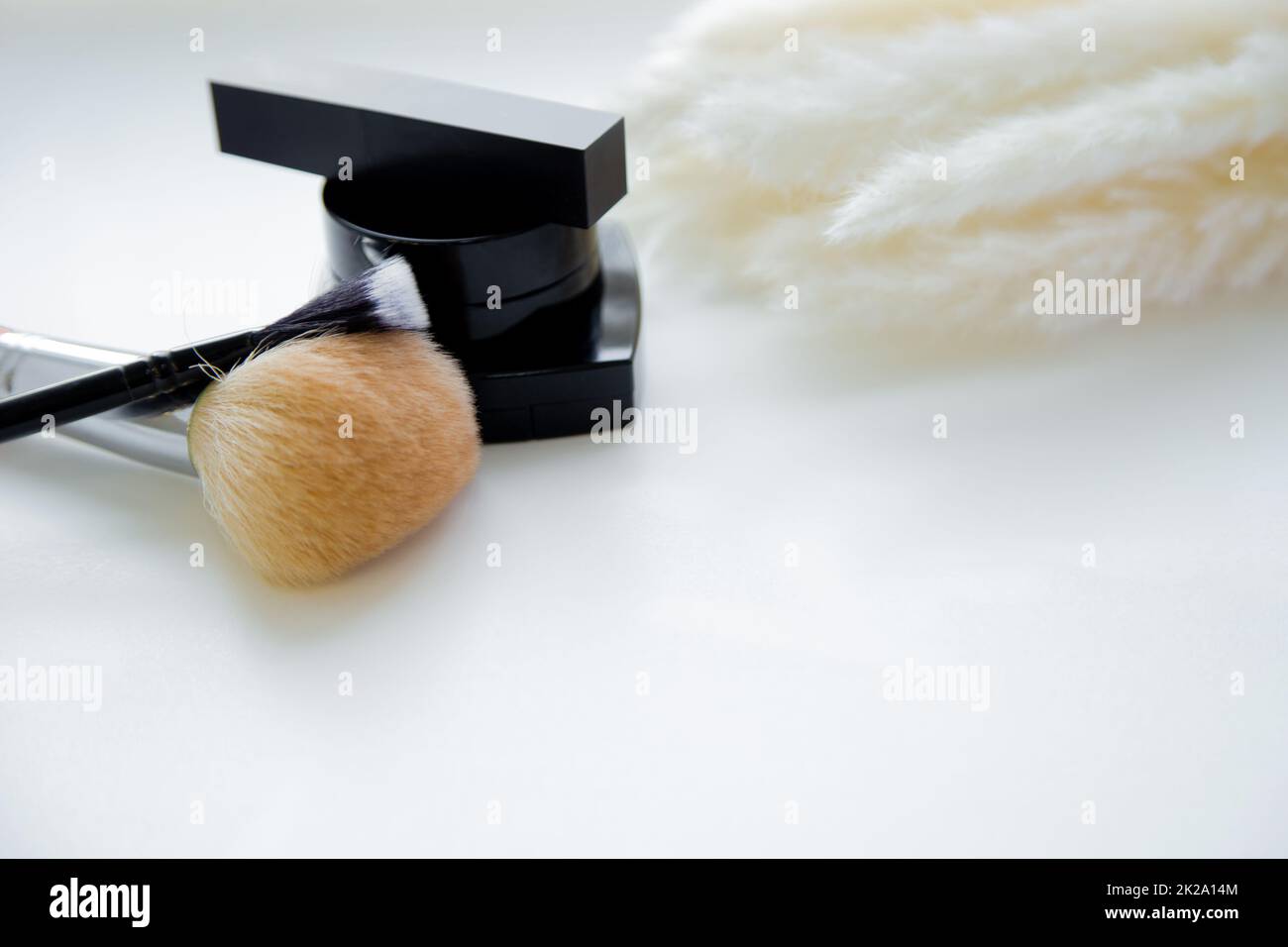 Lipstick, brushes and blush lie together next to fluffy branch of a cane on a white background Stock Photo