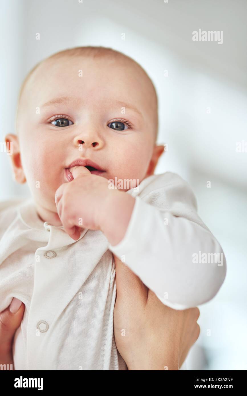 Young baby holding parents finger hi-res stock photography and images ...