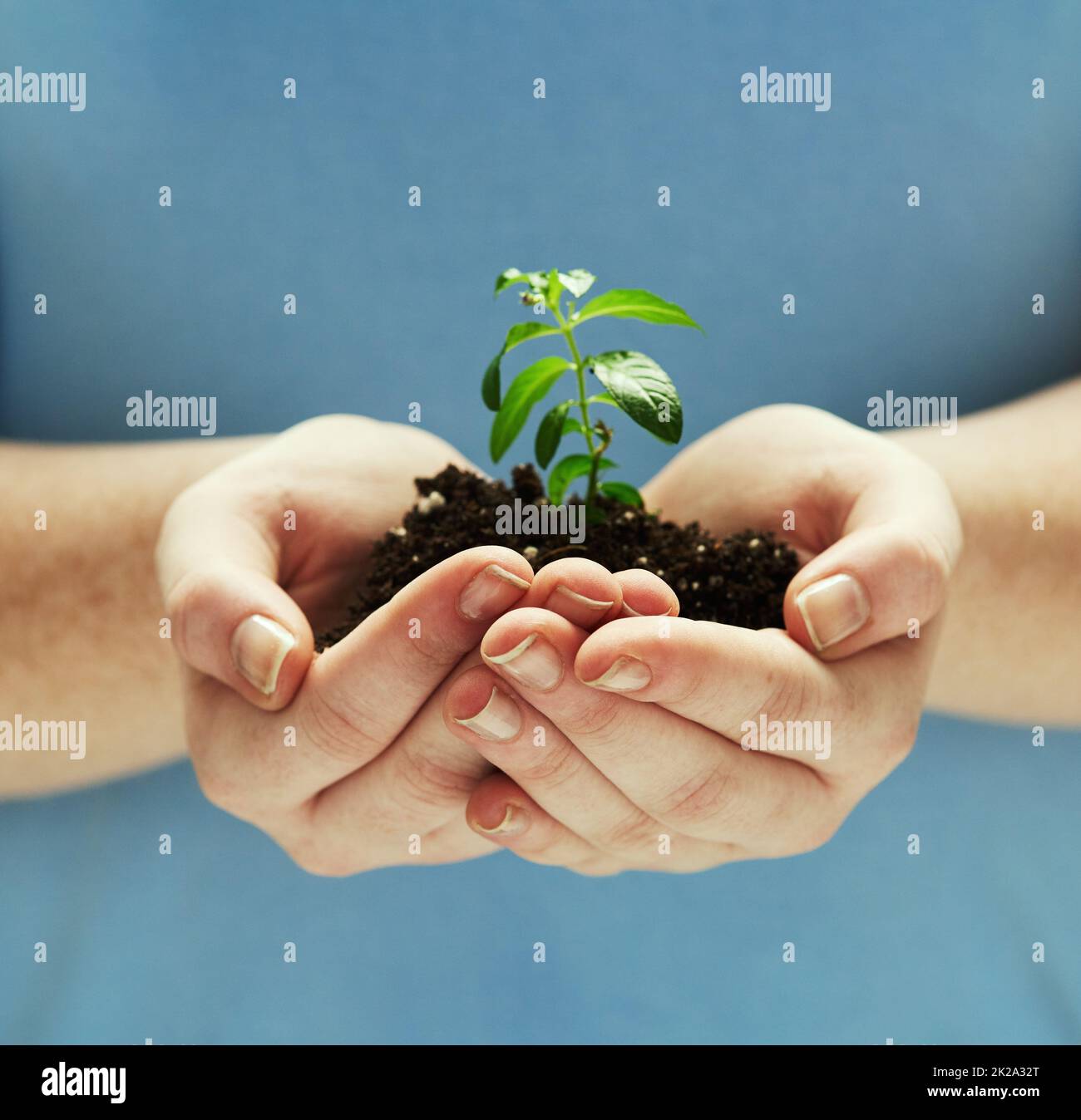 Keep earth clean and green. Shot of hands holding a plant growing out