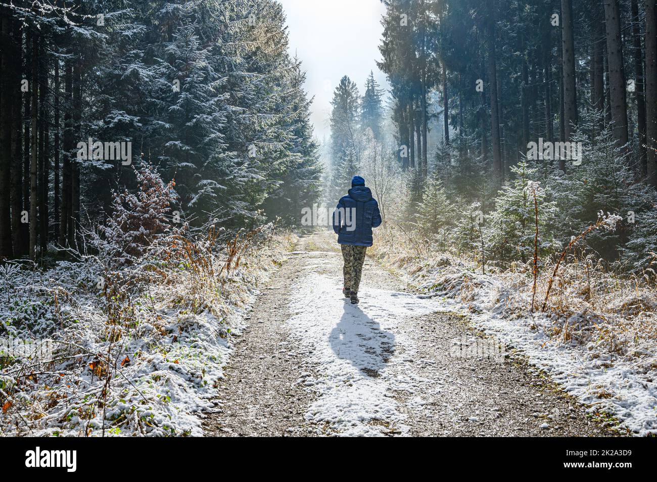 A walk in the Bavarian Forest Stock Photo