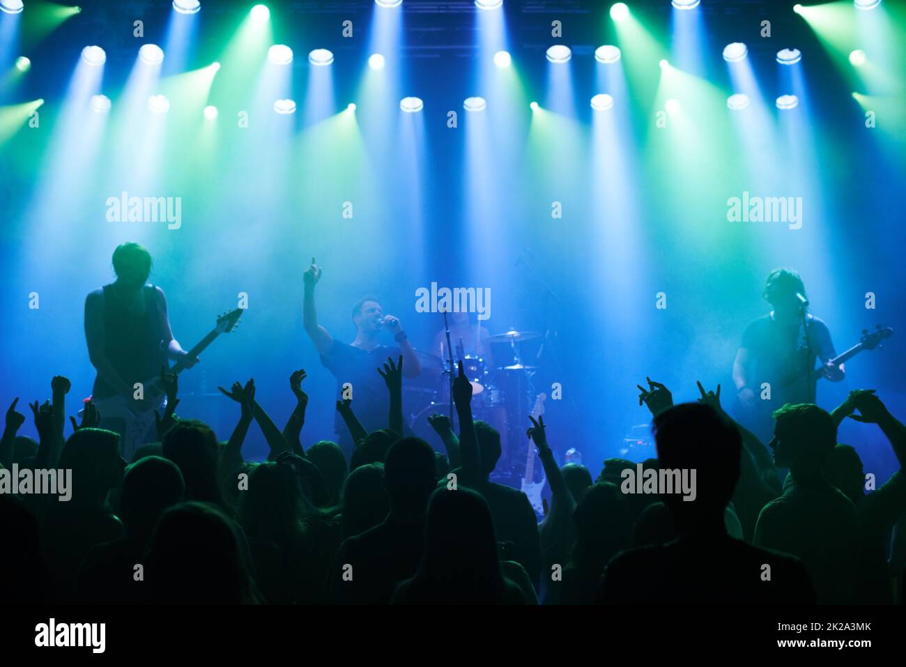 Shot of a large crowd at a music concert This concert was created for