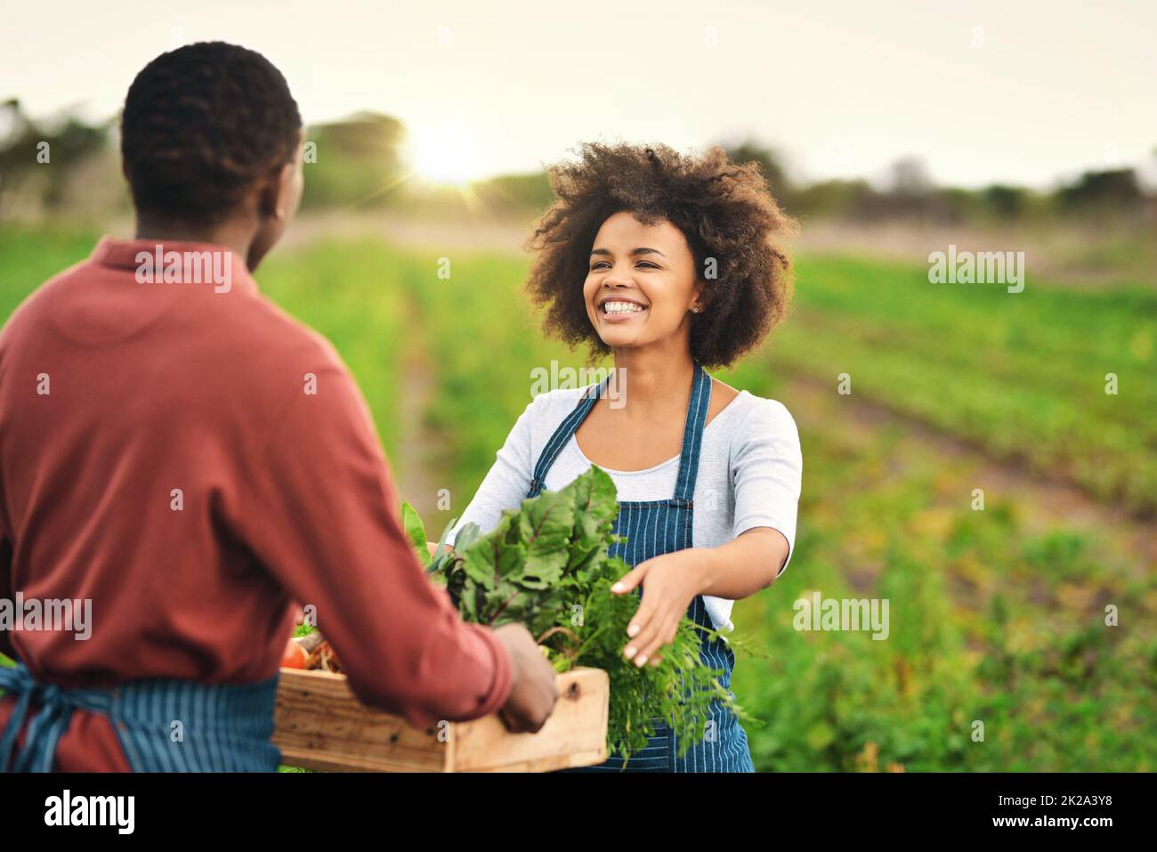 Here you go. Cropped shot of an attractive young female farmer passing a crate of fresh produce to her husband. Stock Photo