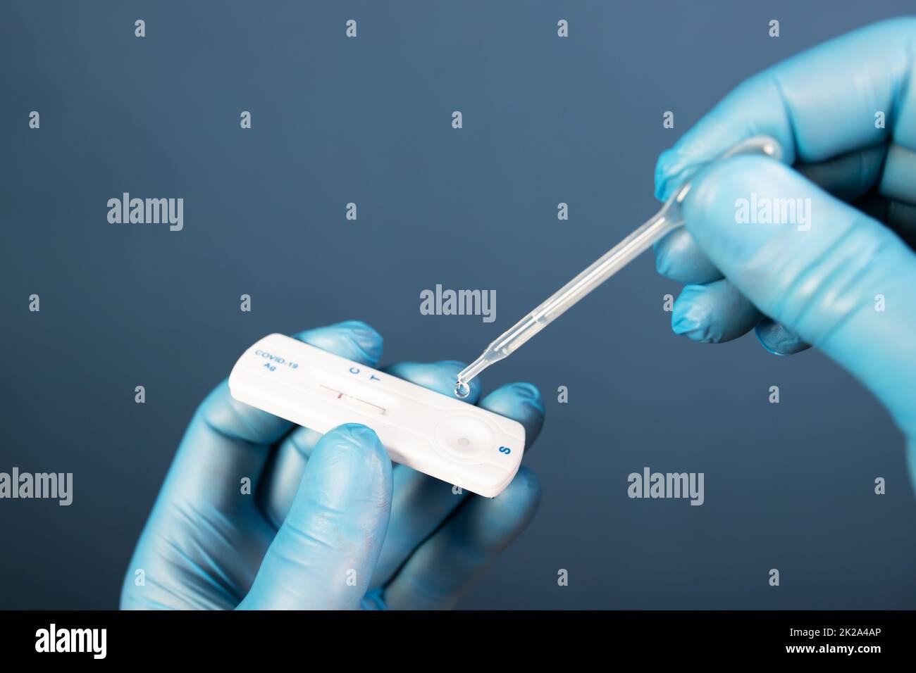 Doctor with laboratory COVID-19 test kit for diagnosis coronavirus infection. Stock Photo