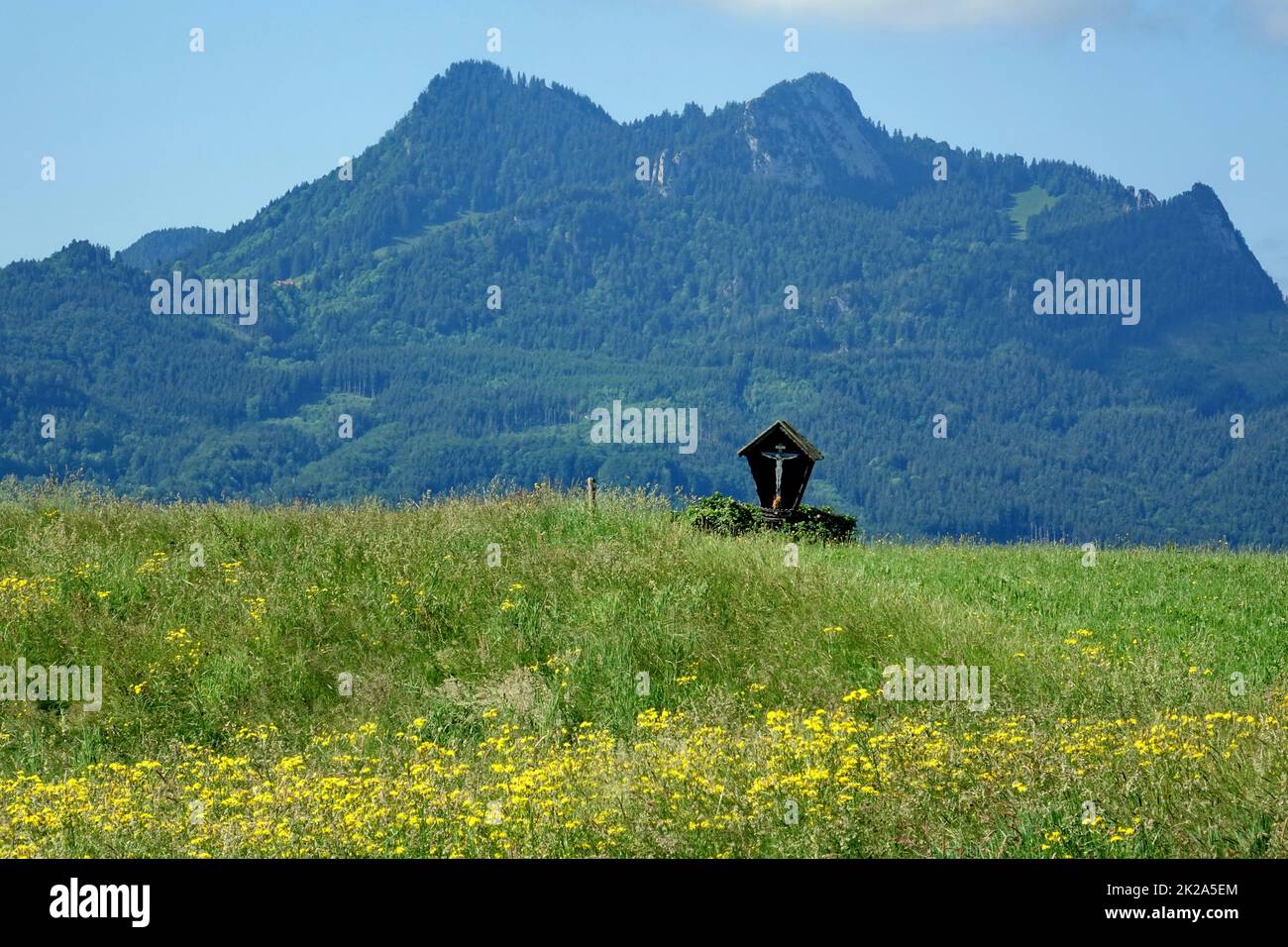 Germany, Bavaria, Samerberg, Heuberg mountain, Landkreis Rosenheim, landscape, Chiemgauer Mountains, wayside cross, flower meadow Stock Photo