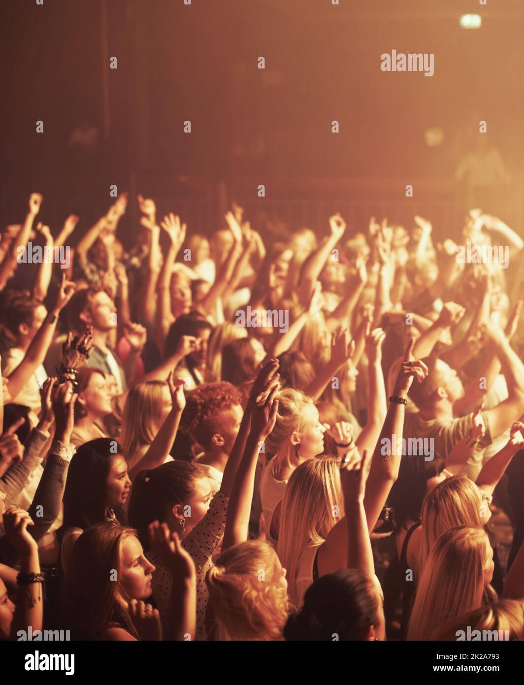 The most epic show of their lives. Adoring fans enjoying a music concert. Stock Photo