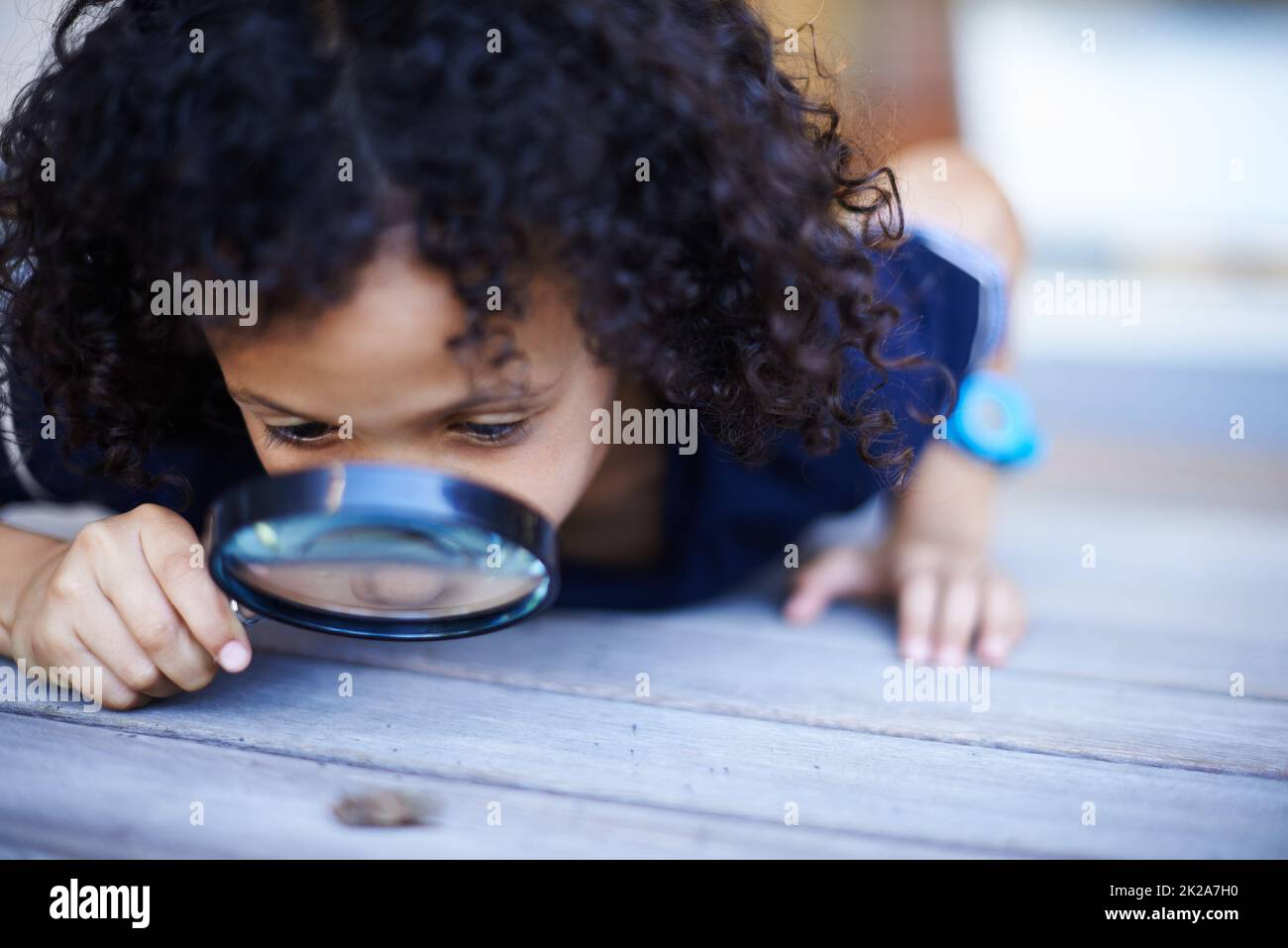 Hes a curious kid. Cropped shot of a cute little boy inspecting an insect with a magnifying glass. Stock Photo