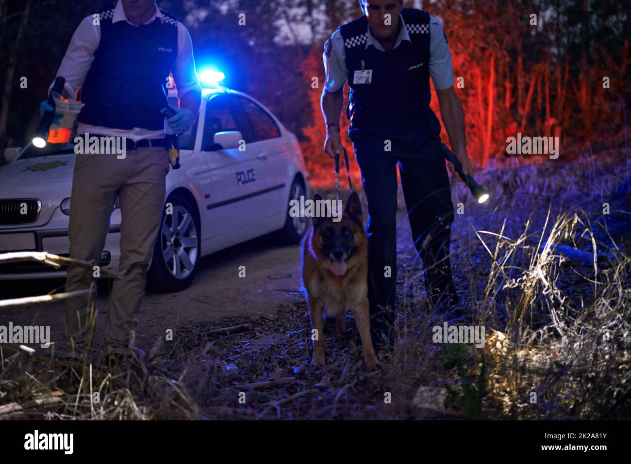 We found it. Shot of two policemen and their canine tracking a suspect through the brush at night. Stock Photo