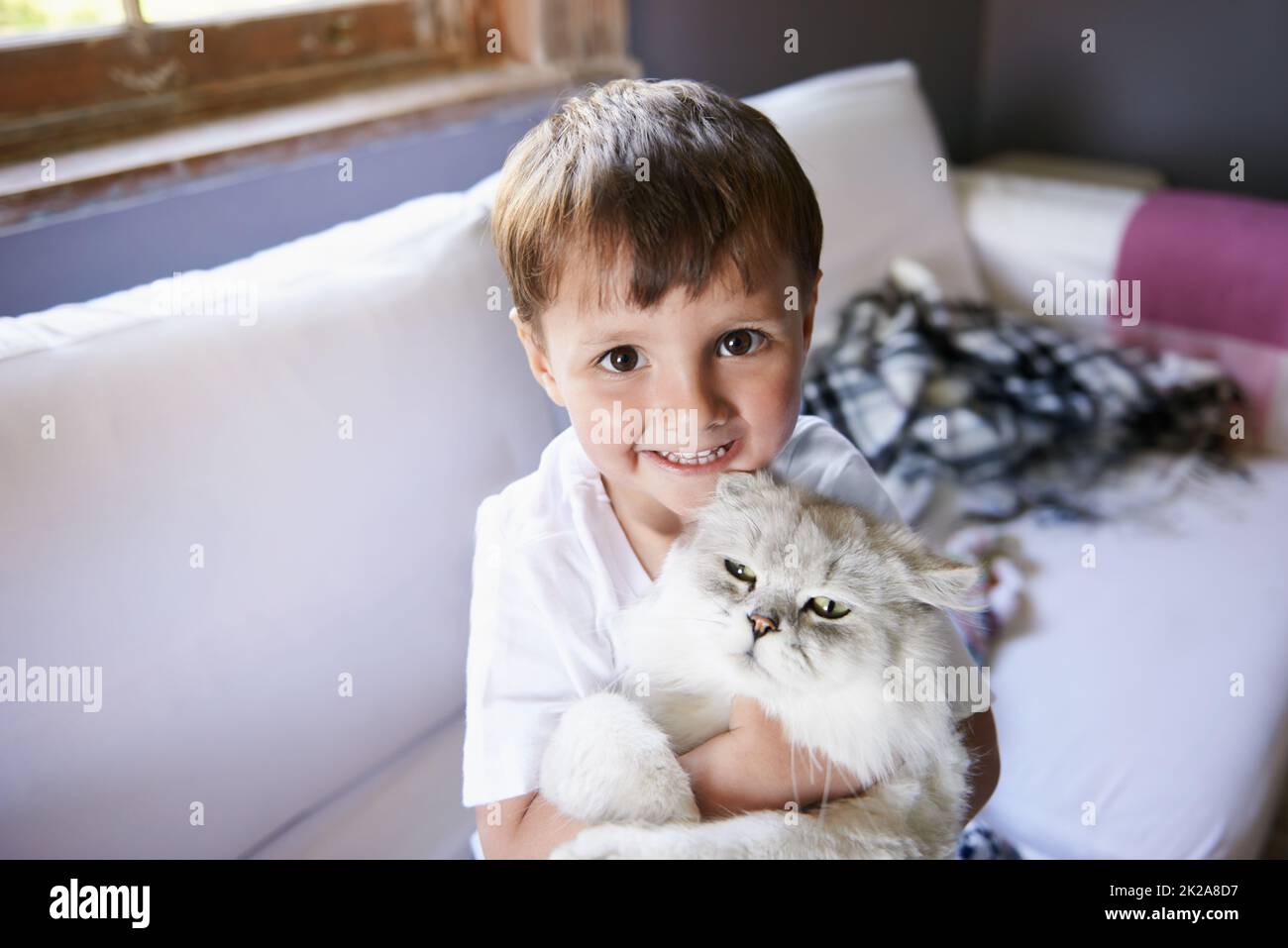 Kitty love. A young boy sitting on a couch and holding his cat. Stock Photo