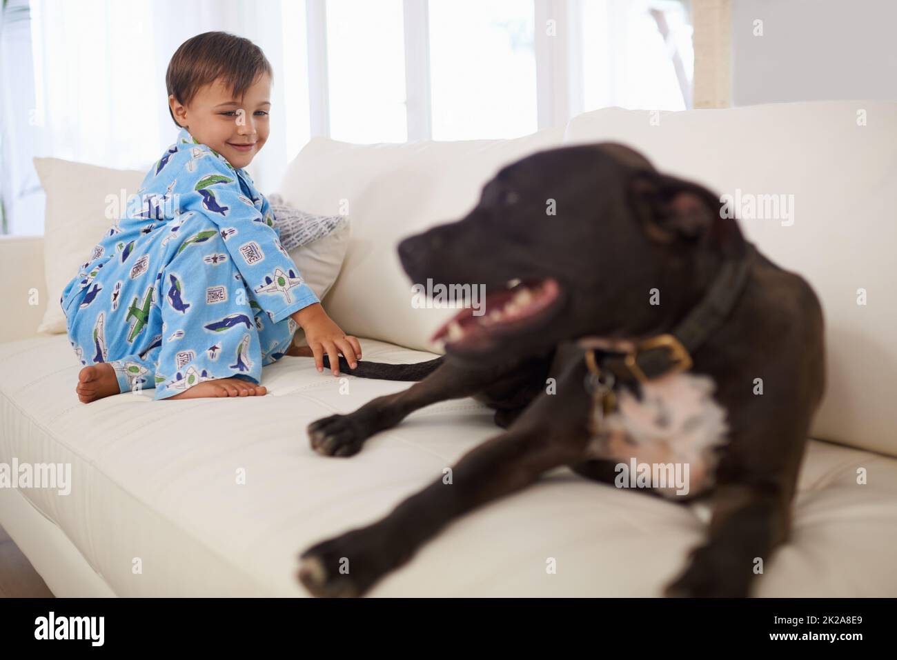 Sitting with his best friend. A cute liittle boy sitting on a couch with his dog. Stock Photo