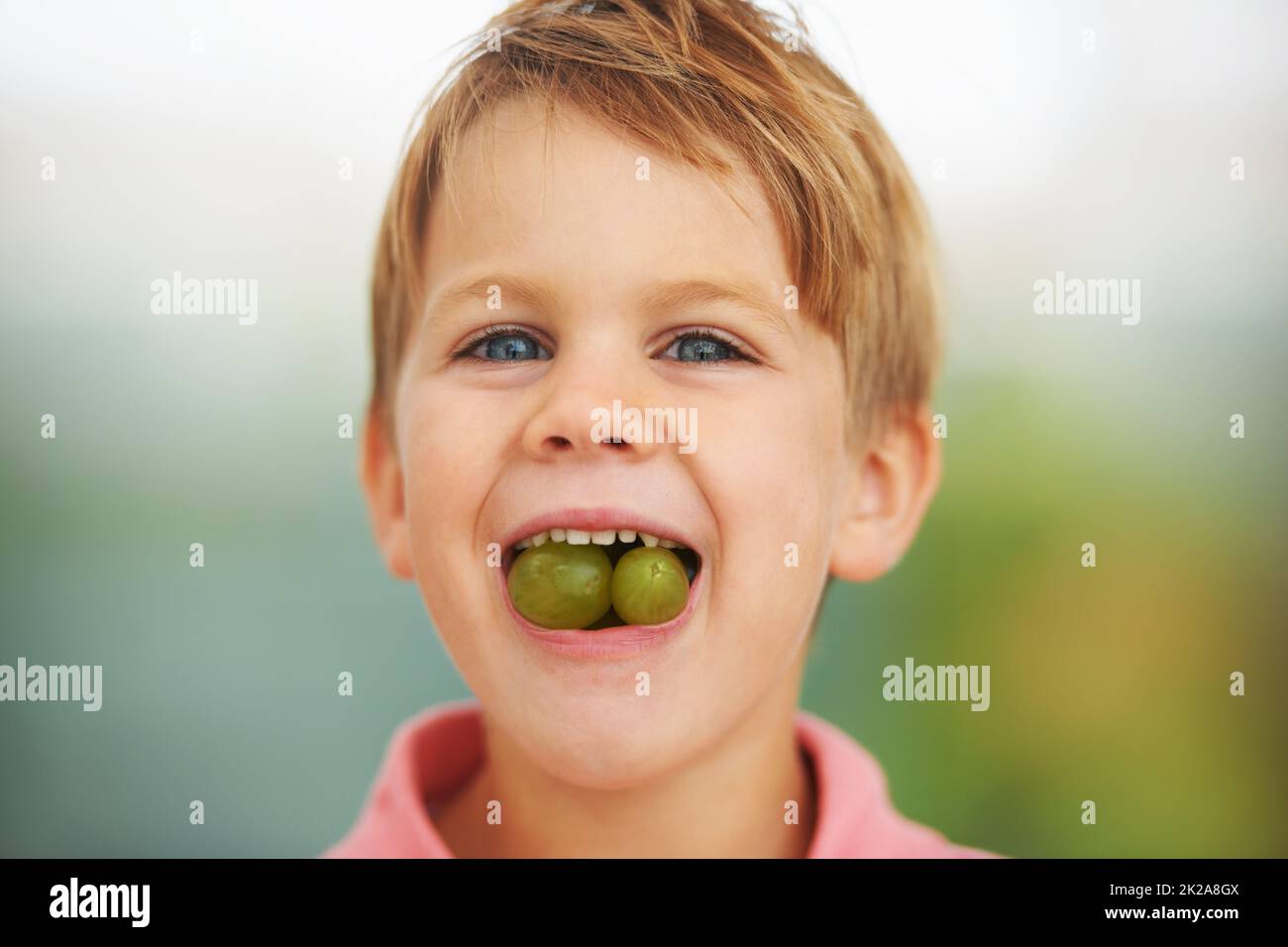 Its a mouthful of fruitiness. Shot of a boy stuffing two grapes in his mouth. Stock Photo