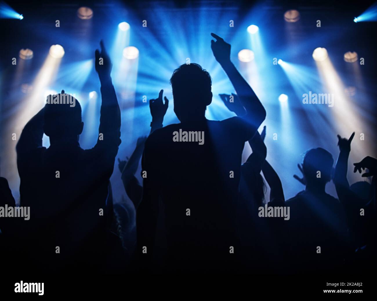 Fun at the gig. Silhouette of a crowd of young adults at a concert. Stock Photo