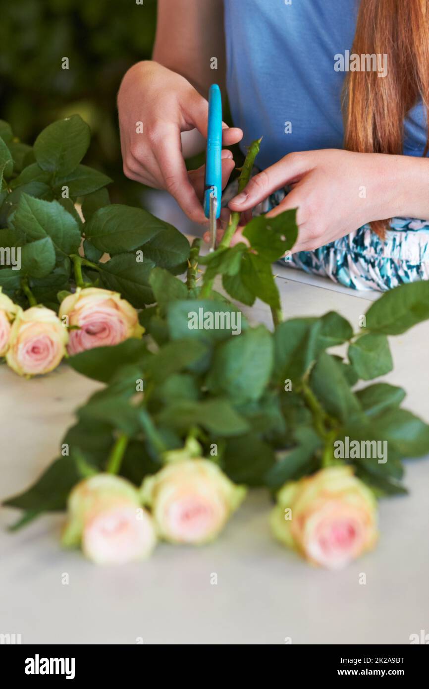 Shes learned the skills necessary for great arranging. High angle shot of a florists hands trimming leaves off of rose stems. Stock Photo