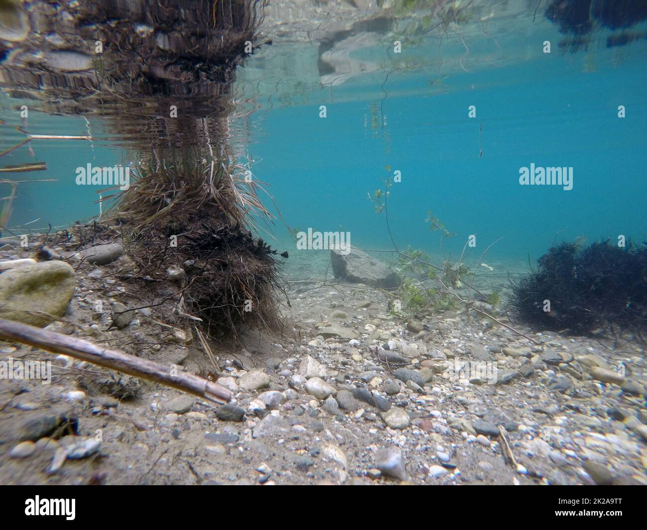 underwaterworld Stock Photo