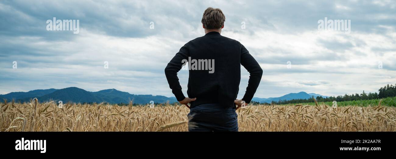 View from behind of a farmer standing at the edge of a beautiful golden wheat field looking at his farmland. Stock Photo