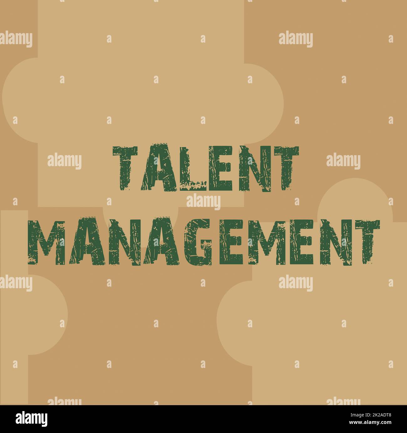 Handwriting text Talent Management. Business overview develop the most talented superior employees available Line Illustrated Backgrounds With Various Shapes And Colours. Stock Photo