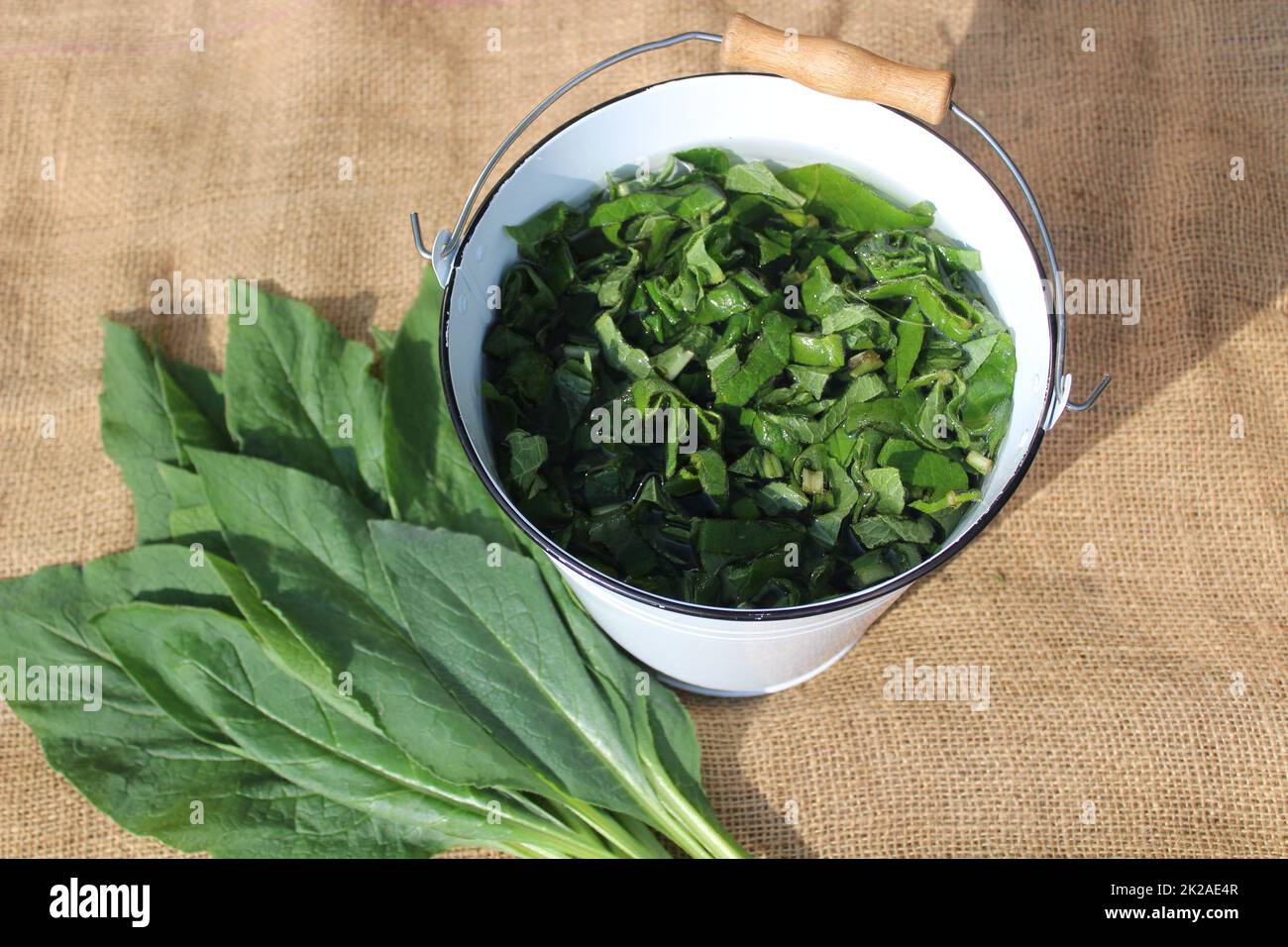 a bucket with liquid manure from comfrey on a jute sack Stock Photo Alamy