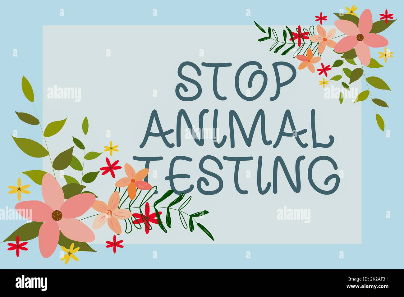 Text caption presenting Stop Animal Testing. Conceptual photo scientific experiment which live animal forced undergo Text Frame Surrounded With Assorted Flowers Hearts And Leaves. Stock Photo