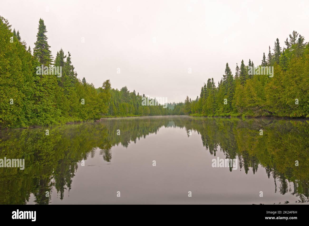 Calm Waters on a Misty Lake Stock Photo