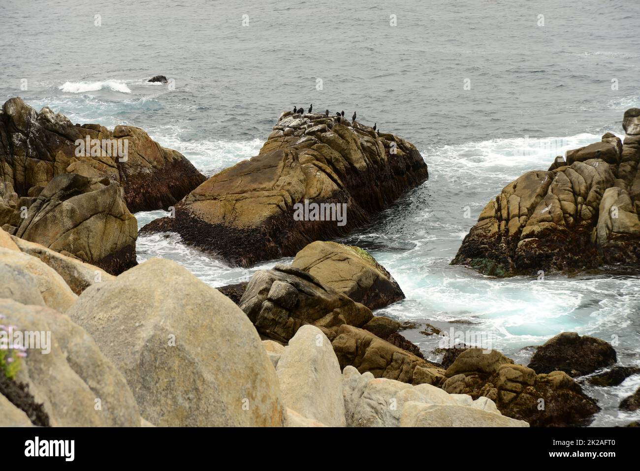 Cormorants resting on the rocks Stock Photo - Alamy