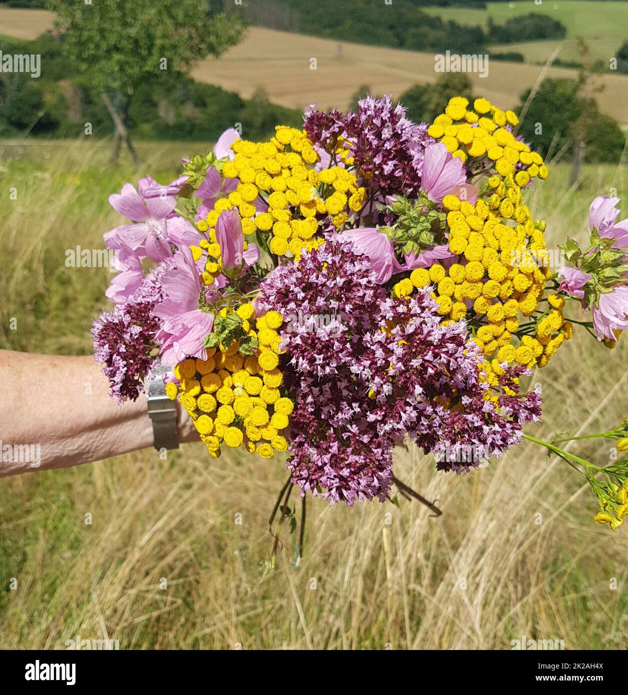Wildflower bouquet hi-res stock photography and images - Alamy