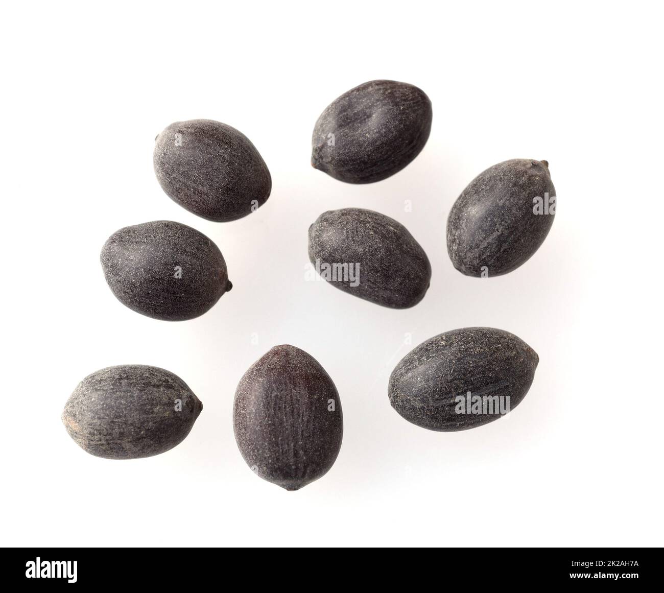 Lotus seeds,Lotus nucifera Stock Photo Alamy