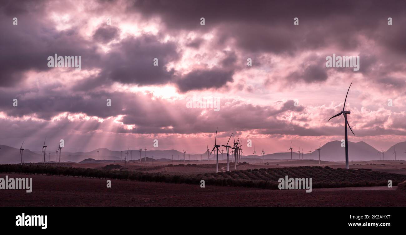 renewable energy industry fields in Andalucia Southern Spain Stock Photo