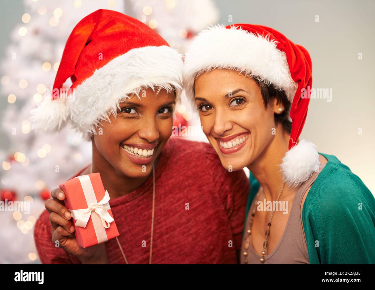 We love the festive season. A portrait of two happy bet friends at Christmas time. Stock Photo
