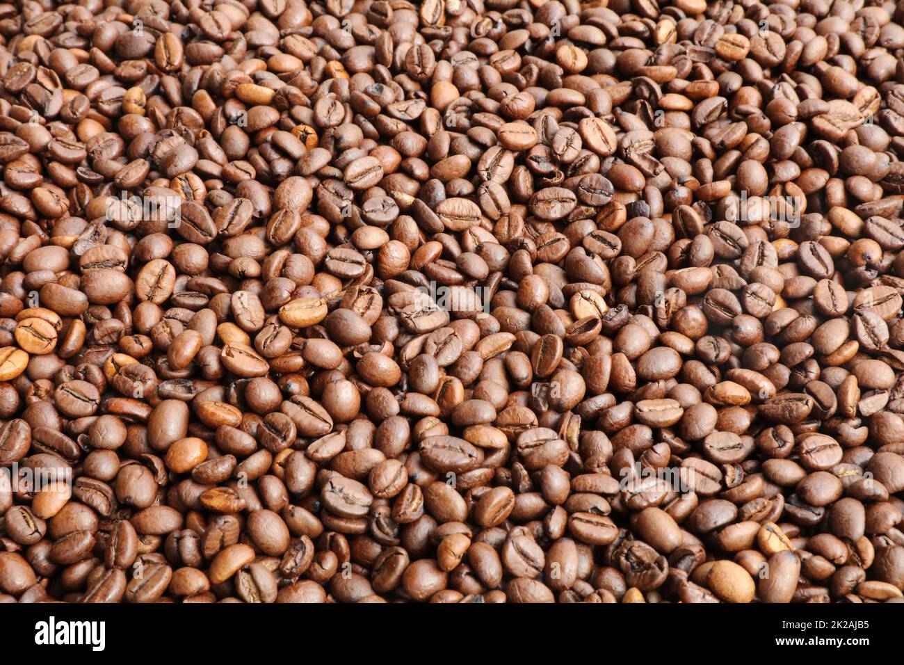 Bean cultures hi-res stock photography and images - Alamy