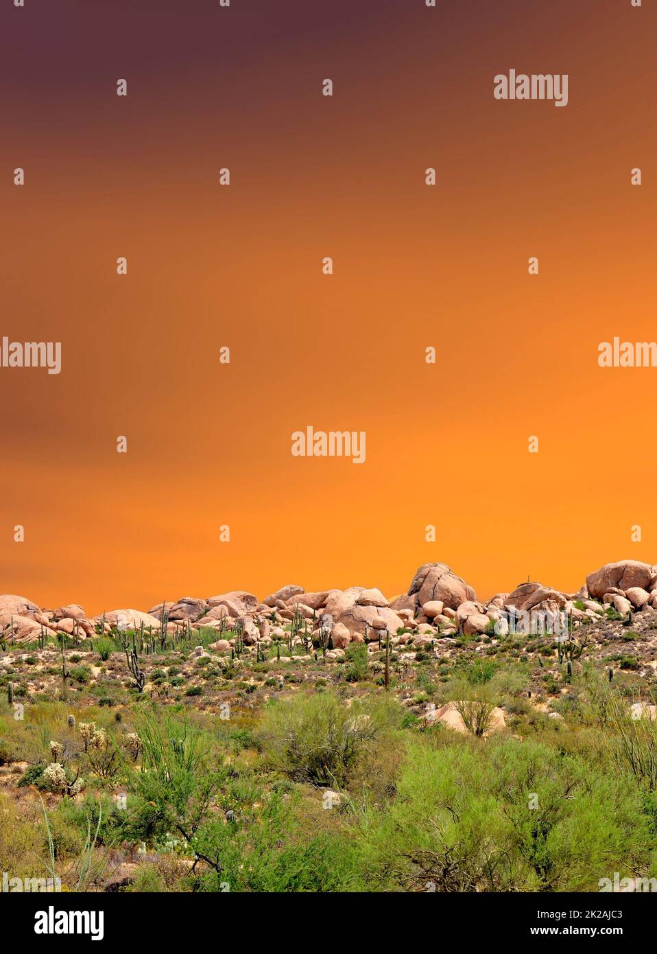 Sonora desert arizona sunset hi-res stock photography and images - Alamy