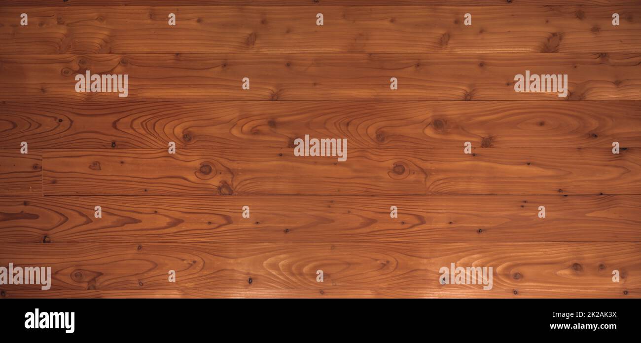 Old wood texture background banner Stock Photo