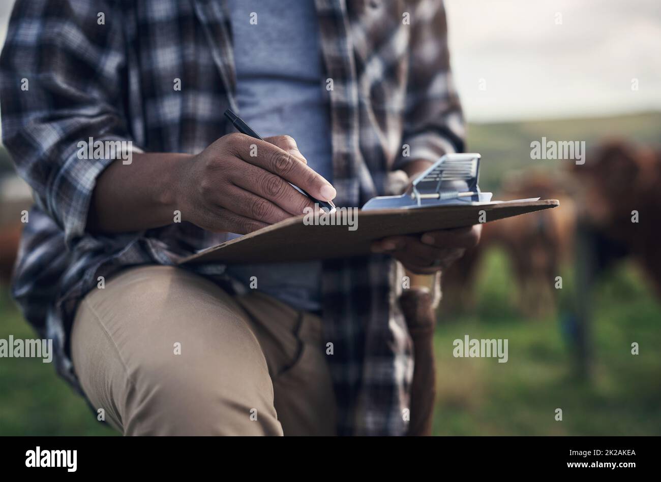 Dont work against nature, work with it. Shot of an unrecognisable man writing notes while working on a cow farm. Stock Photo