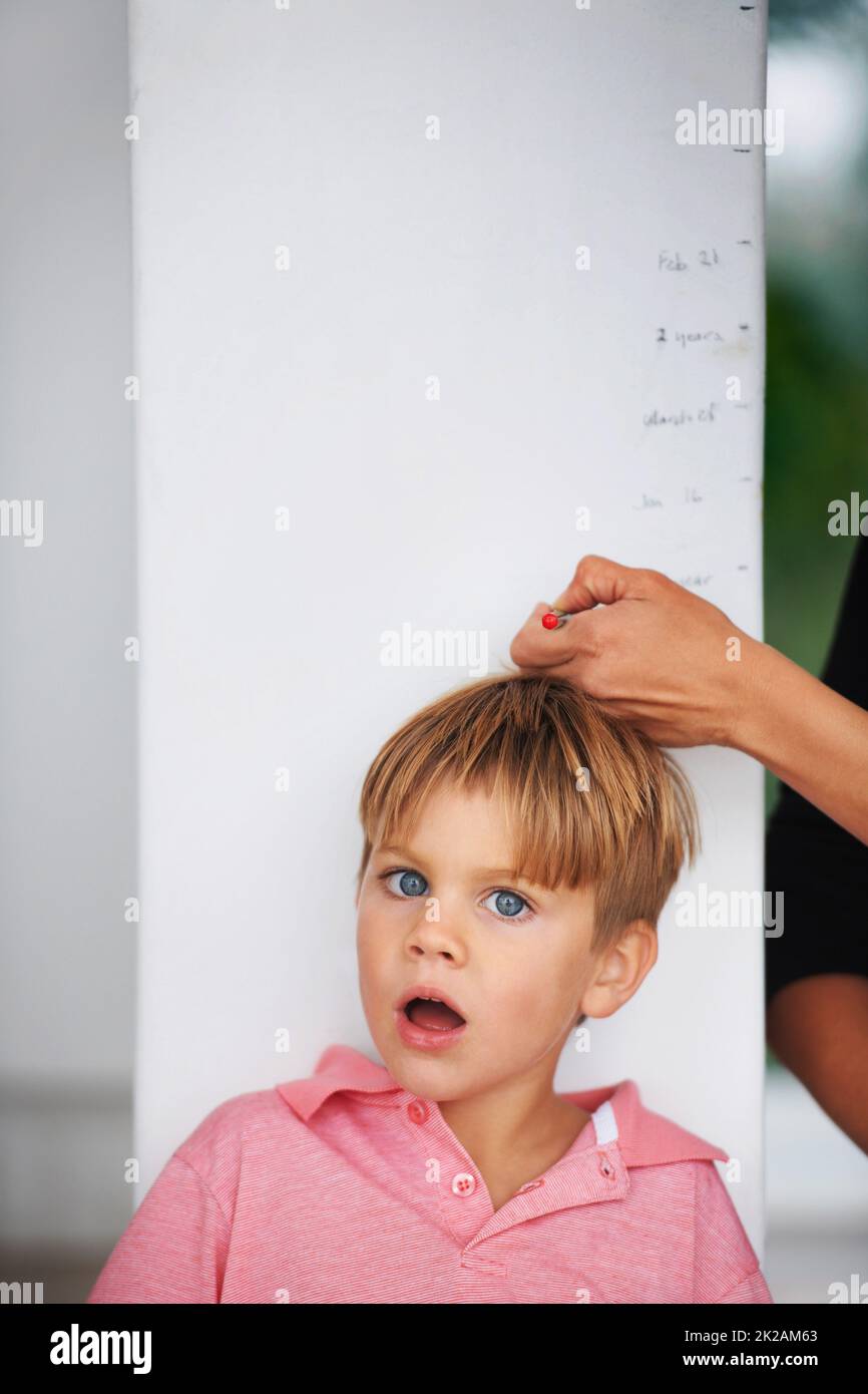 Wow, youve really grown. Portrait of a shocked young boy having his height measured by his mother on the kitchen wall. Stock Photo