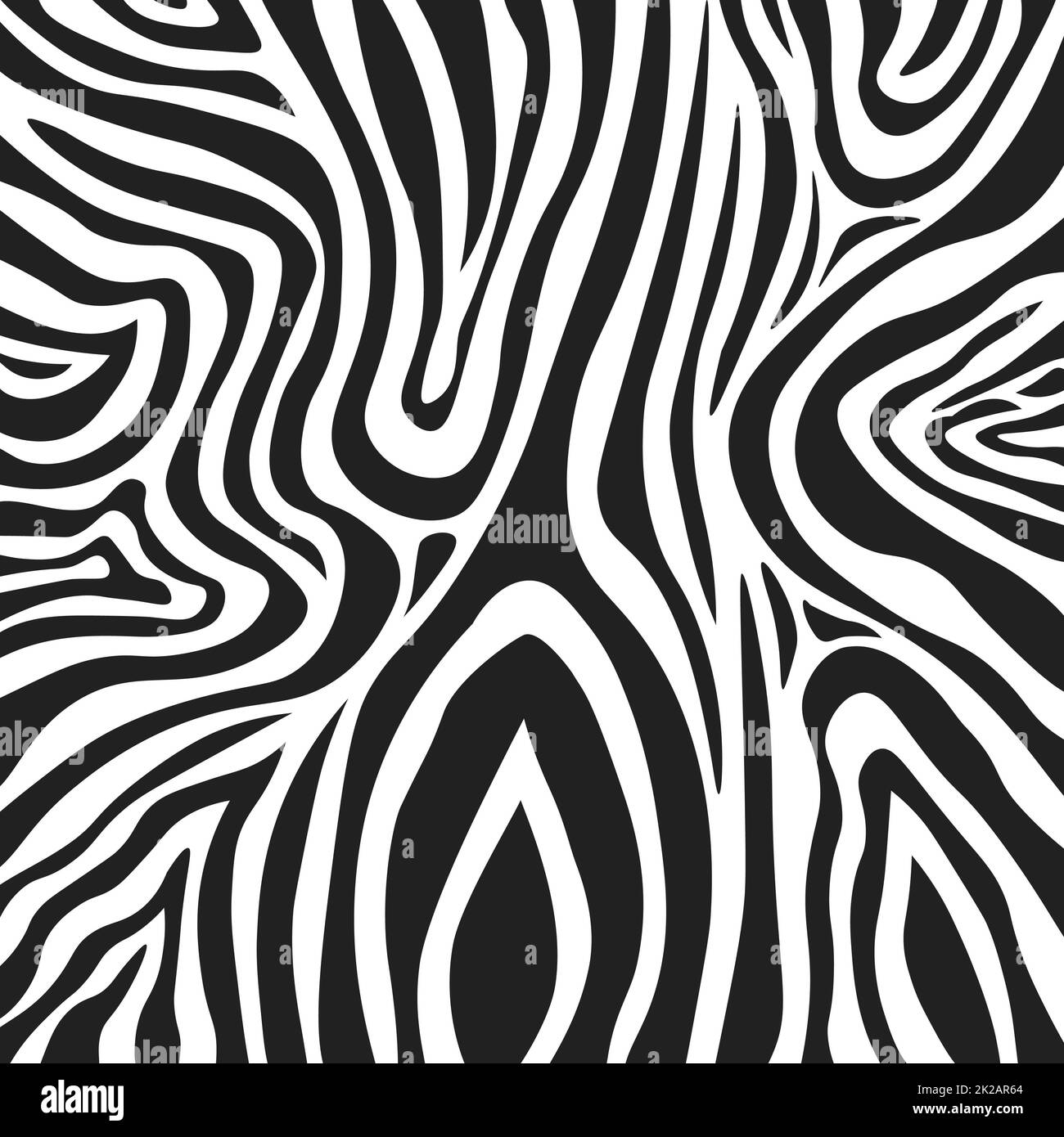 Wavy black and white zebra fur texture - Vector Stock Photo