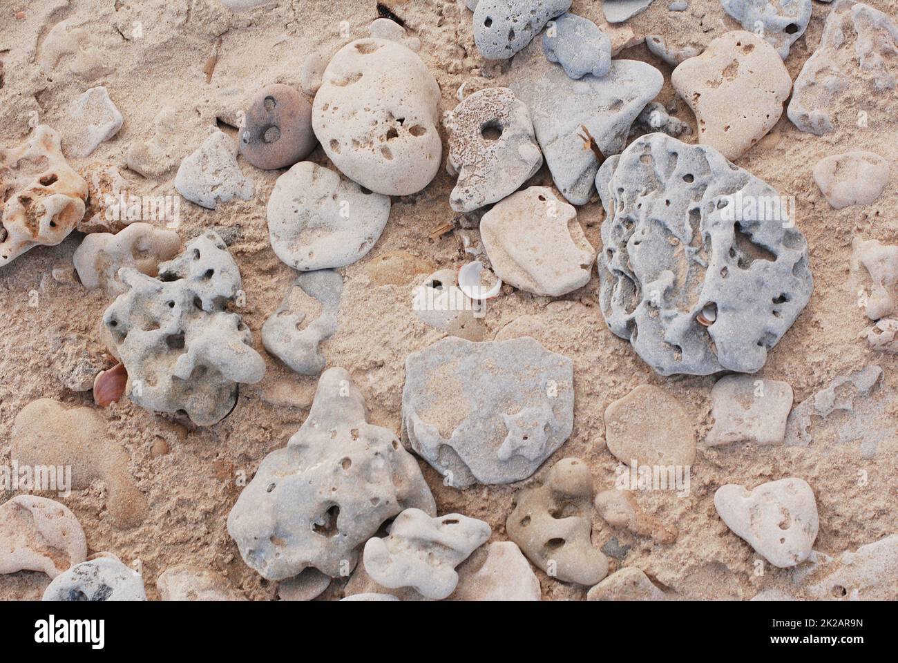 Stones with holes on a beach in Israel, mediterrean sea costline, rocks background, erosion geology Stock Photo