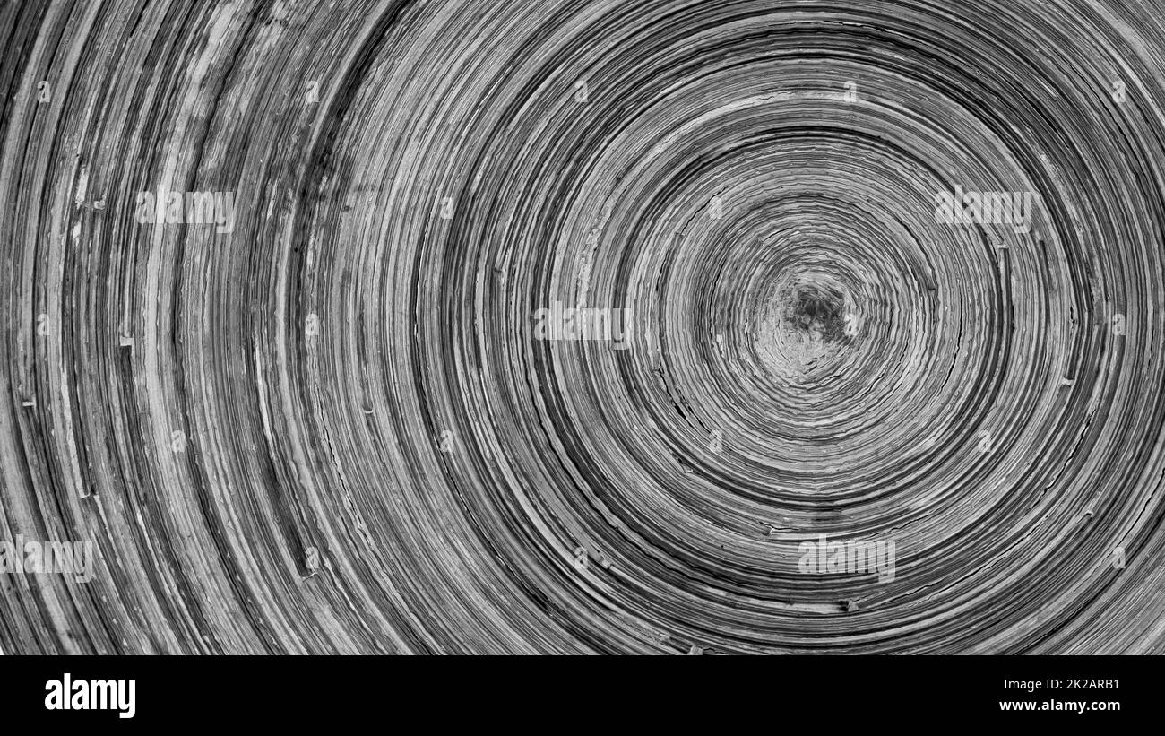 The concentric abstract background with wood texture Stock Photo