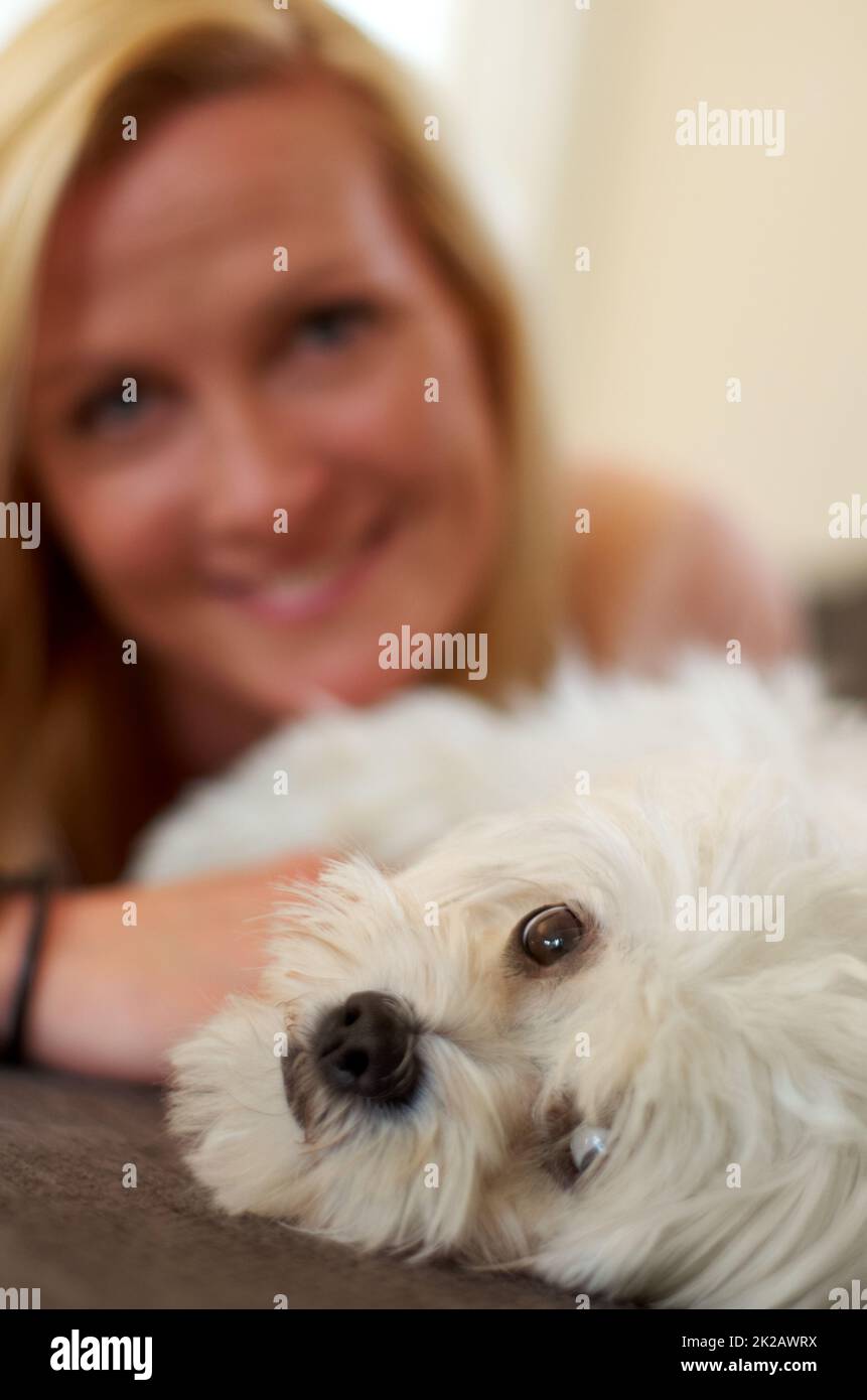 Pet therapy. A woman bonding with her Maltese poodle. Stock Photo