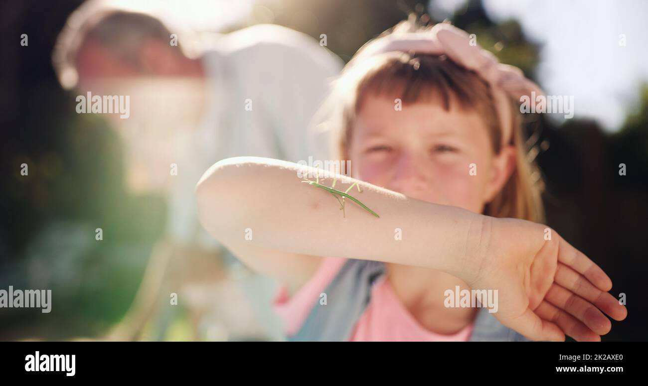 Look at what Ive found. Shot of a young girl discovering bugs in her backyard. Stock Photo