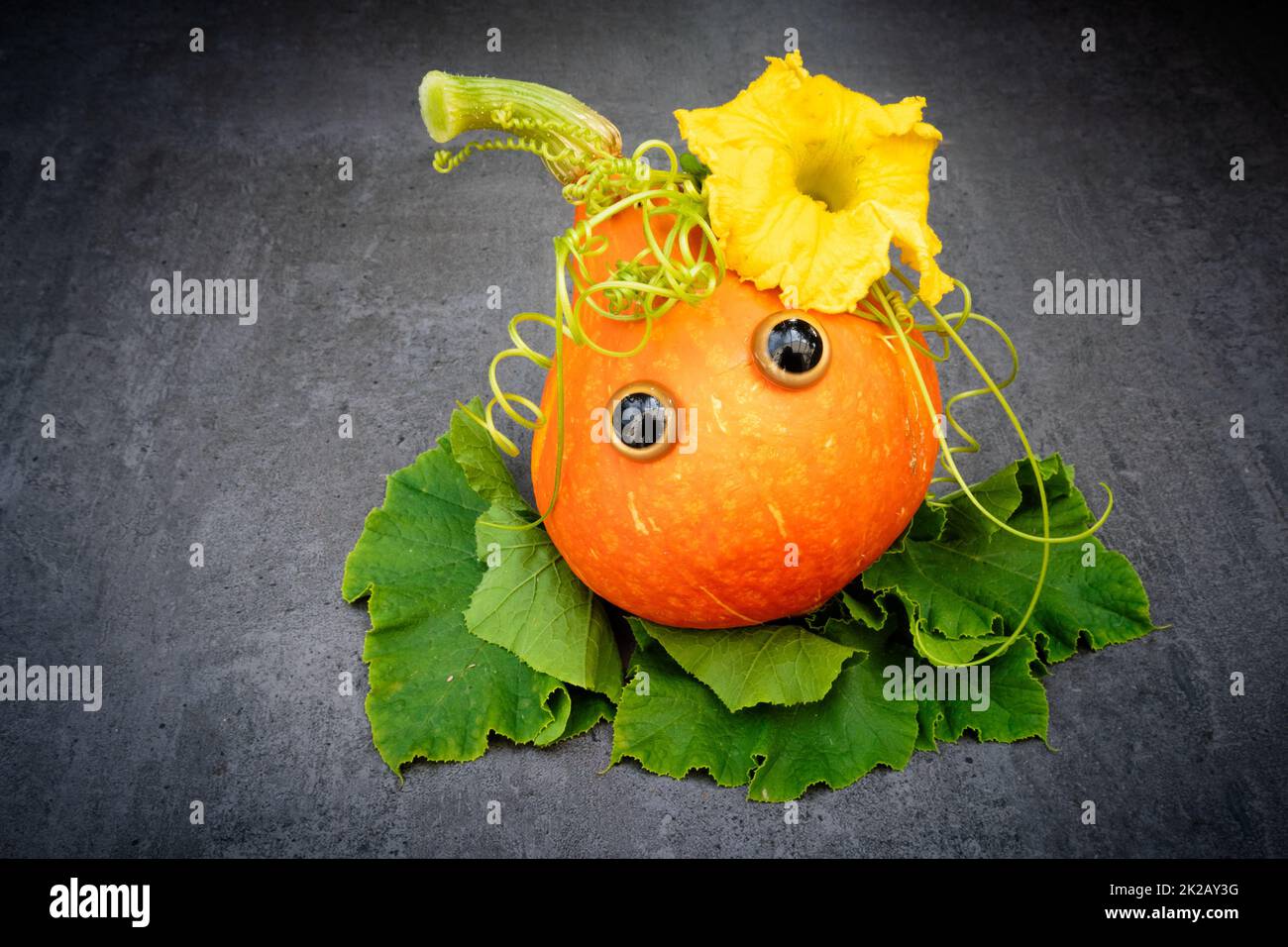 Funny red kuri squash with googly eyes Stock Photo - Alamy