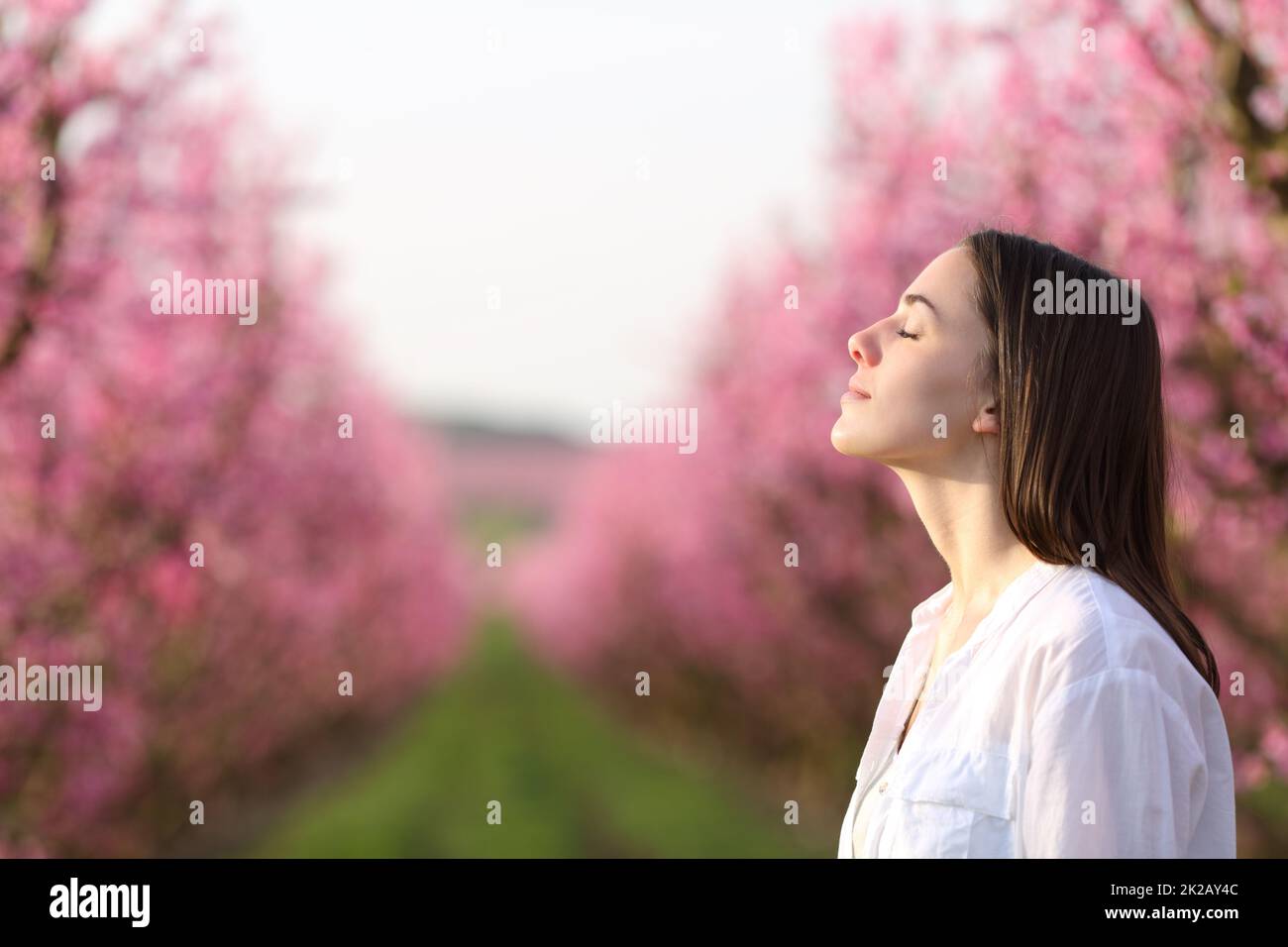 Woman breathing fresh air in a beautiful field Stock Photo - Alamy