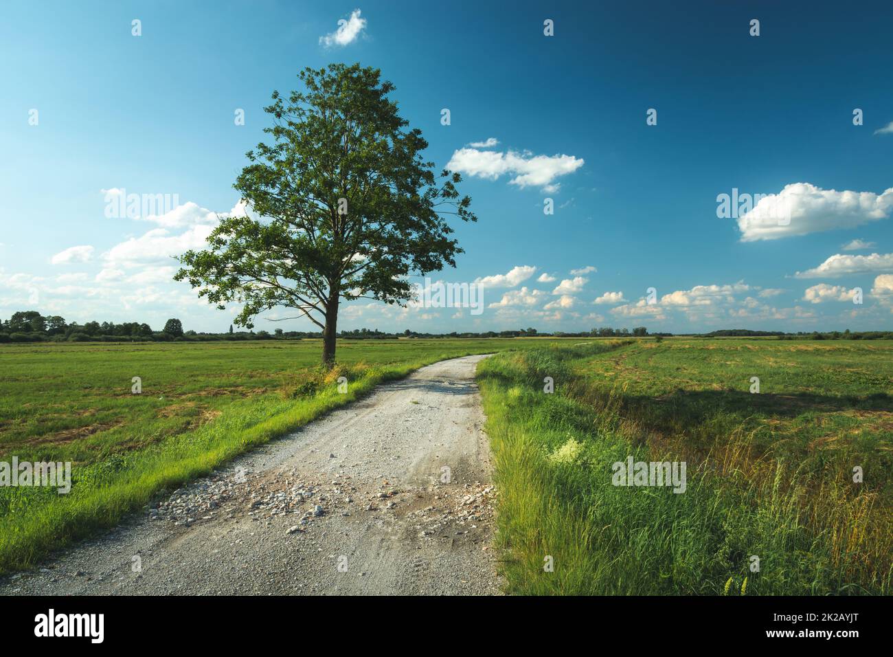 Rural gravel road deciduous hi-res stock photography and images - Alamy